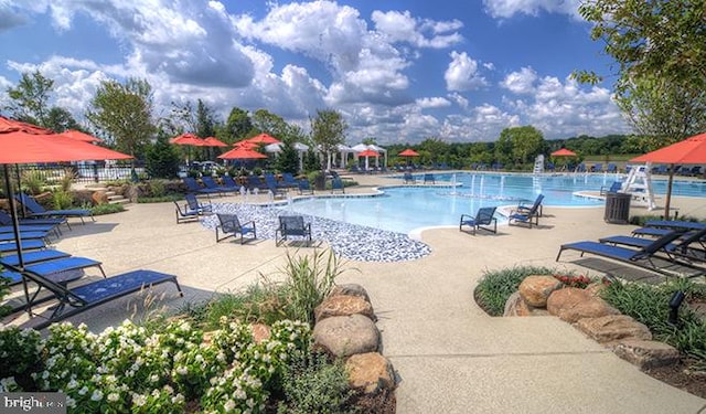 40928 Arcadian Pond Ct, Aldie, VA 20105 - community pool with a patio area