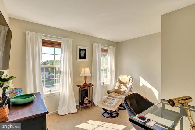 64 S 3rd St, New Freedom, PA 17349 - living area with carpet flooring and a desk