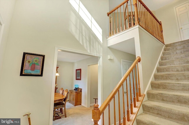 64 S 3rd St, New Freedom, PA 17349 - stairway featuring carpet and a high ceiling