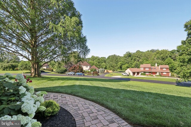 1118 Dorset Dr, West Chester, PA 19382 - view of green lawn