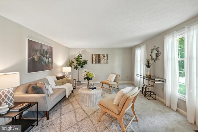 6 Ivywood Ct, Silver Spring, MD 20904 - carpeted living room featuring baseboards