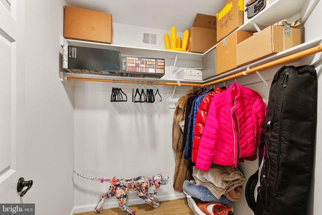 10915 Lamplighter Ln, Potomac, MD 20854 - view of spacious closet