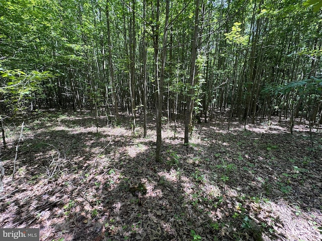 Trunk Line Rd, Henderson, MD 21640