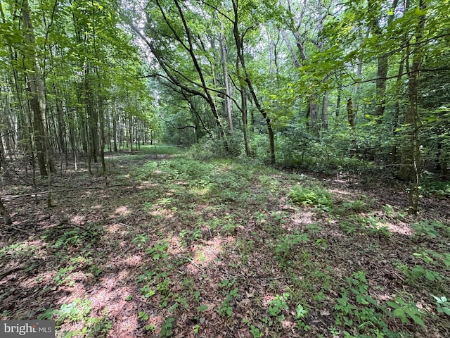 Trunk Line Rd, Henderson, MD 21640