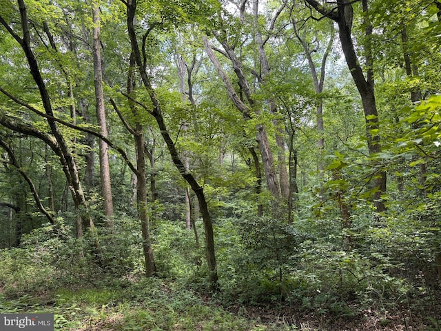 Trunk Line Rd, Henderson, MD 21640