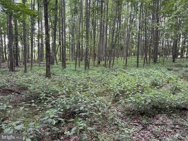 Trunk Line Rd, Henderson, MD 21640
