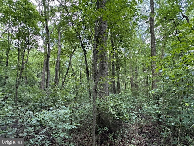 Trunk Line Rd, Henderson, MD 21640