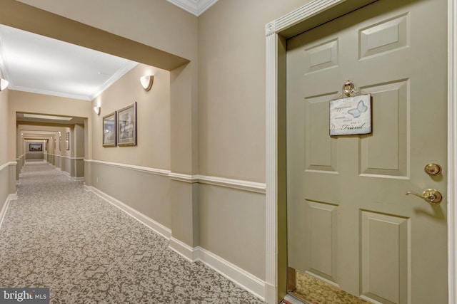 20810 Noble Ter Unit 104, Sterling, VA 20165 - corridor with ornamental molding and baseboards