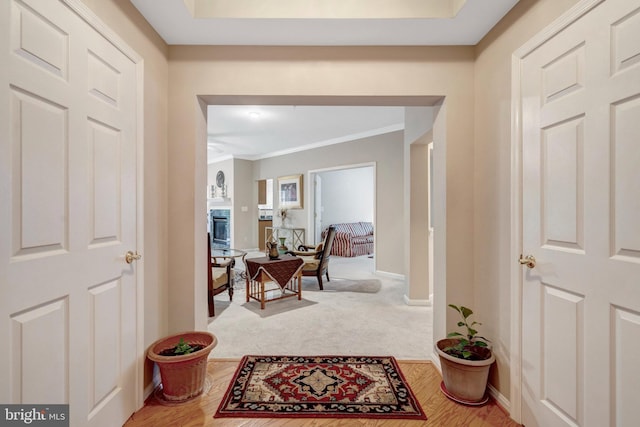 20810 Noble Ter Unit 104, Sterling, VA 20165 - corridor featuring crown molding, light wood-style flooring, and light carpet