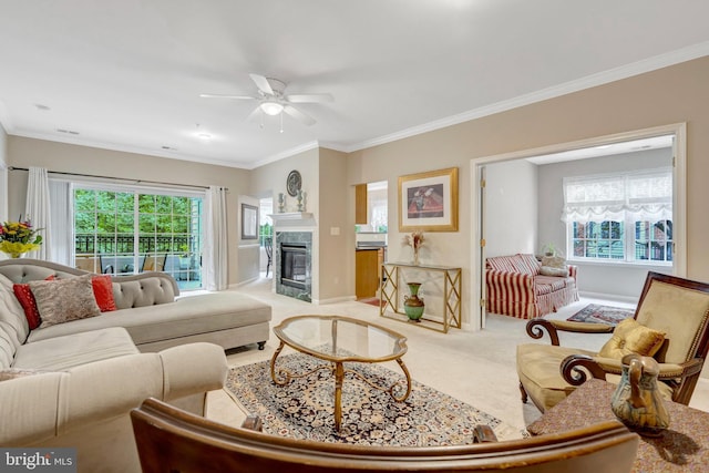 20810 Noble Ter Unit 104, Sterling, VA 20165 - carpeted living area featuring ceiling fan, plenty of natural light, a high end fireplace, and ornamental molding