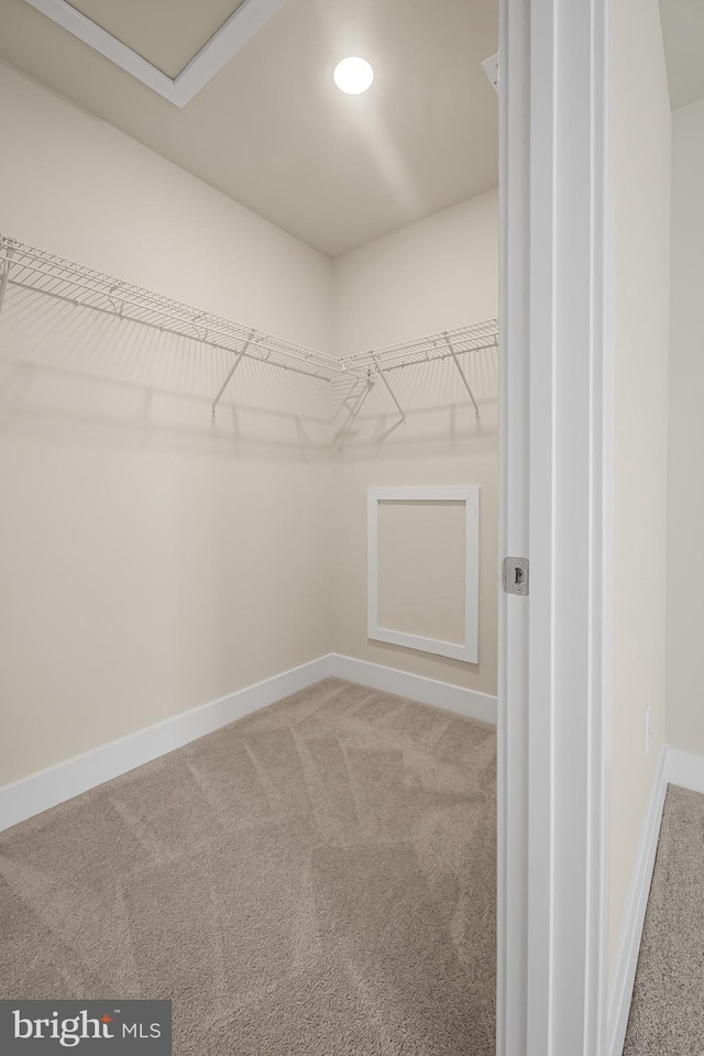 11466 Mesa Verde Ct, White Plains, MD 20695 - walk in closet with carpet floors