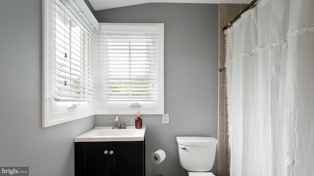 16 E Jefferson St, Newtown, PA 18940 - full bathroom featuring vanity, a shower with shower curtain, and vaulted ceiling