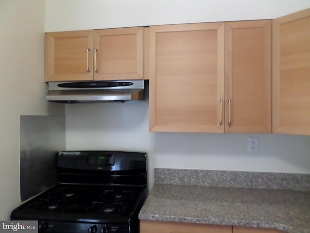 9900 Georgia Ave Unit 707, Silver Spring, MD 20902 - kitchen with range with gas cooktop, under cabinet range hood, and dark countertops