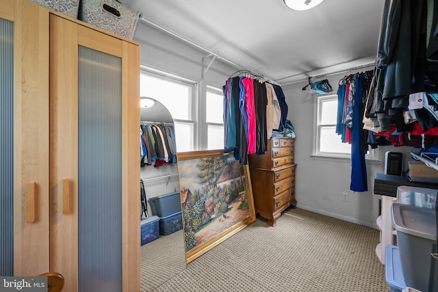 1105 Brown St, Wilmington, DE 19805 - spacious closet with carpet floors