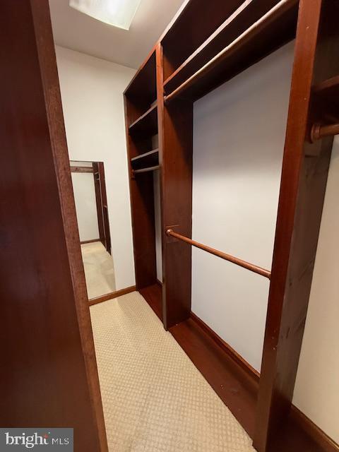 203 W Weymouth Rd, Vineland, NJ 08360 - walk in closet with carpet floors