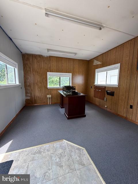 203 W Weymouth Rd, Vineland, NJ 08360 - unfurnished office featuring wood walls and carpet floors