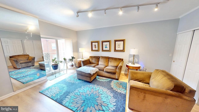 960 Fell St Unit 609, Baltimore, MD 21231 - living room featuring crown molding, light wood-style flooring, and rail lighting