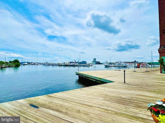 960 Fell St Unit 609, Baltimore, MD 21231 - dock area with a water view