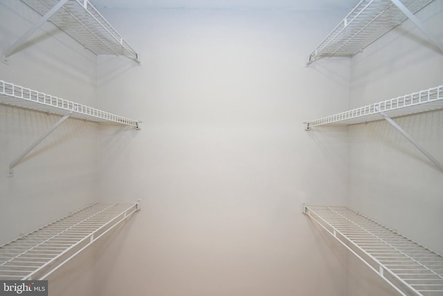 316 Wheatfield Cir, Hatfield, PA 19440 - view of walk in closet