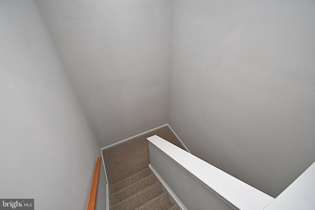 316 Wheatfield Cir, Hatfield, PA 19440 - stairs with carpet and baseboards