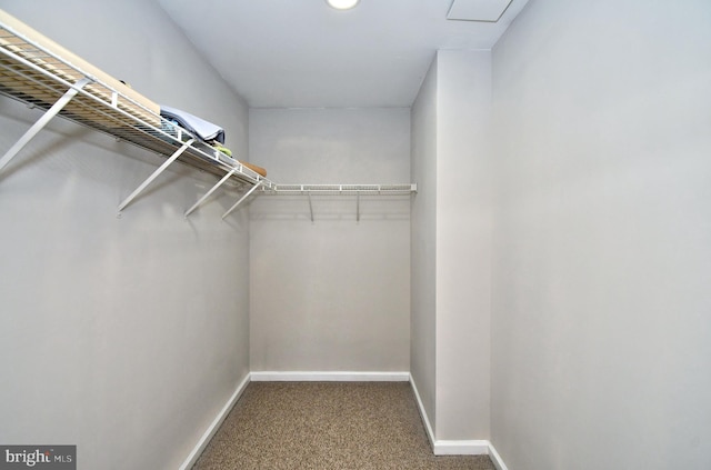 316 Wheatfield Cir, Hatfield, PA 19440 - walk in closet featuring carpet