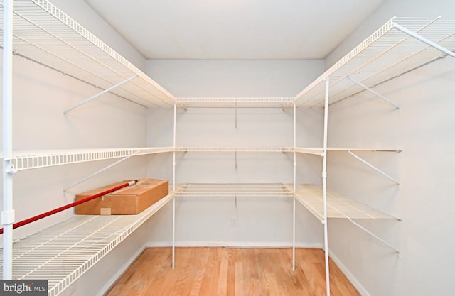 316 Wheatfield Cir, Hatfield, PA 19440 - view of pantry