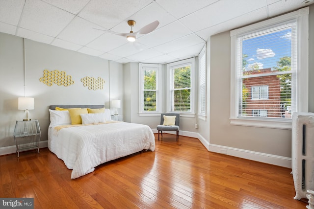 609 Elliott St NE, Washington, DC 20002 - bedroom with light wood finished floors, multiple windows, a drop ceiling, and ceiling fan
