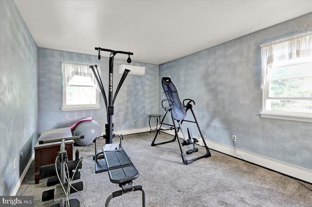 1048 Acorn, Stowe, PA 19464 - workout area with plenty of natural light, carpet floors, and a wall mounted AC