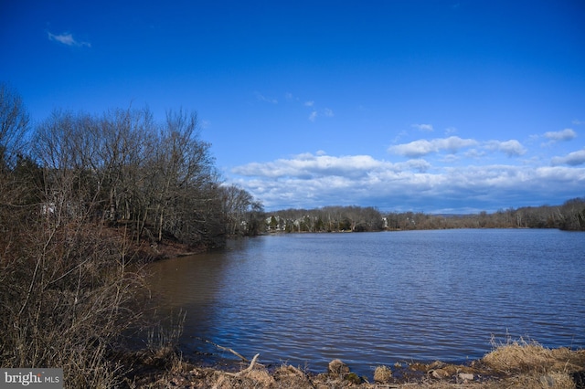1305 S Branch Dr, Whitehouse Station, NJ 08889 - water view