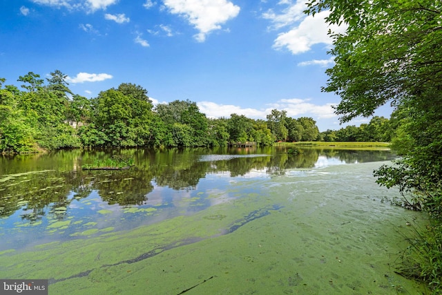 8857 Blade Green Ln, Columbia, MD 21045 - water view featuring a heavily wooded area