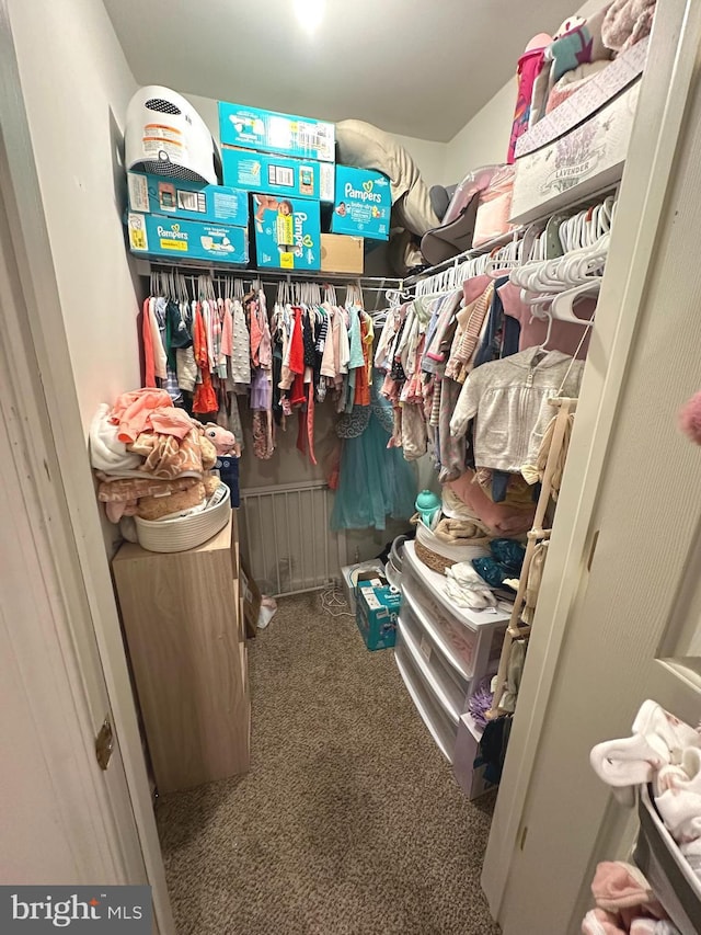 226 Prairie Ct, Quakertown, PA 18951 - walk in closet featuring carpet floors