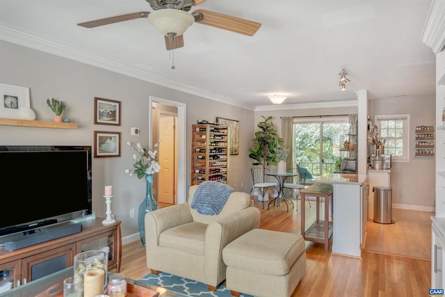 2421 Barracks Pl Unit 4, Charlottesville, VA 22901 - living area featuring light wood-type flooring, ceiling fan, and crown molding