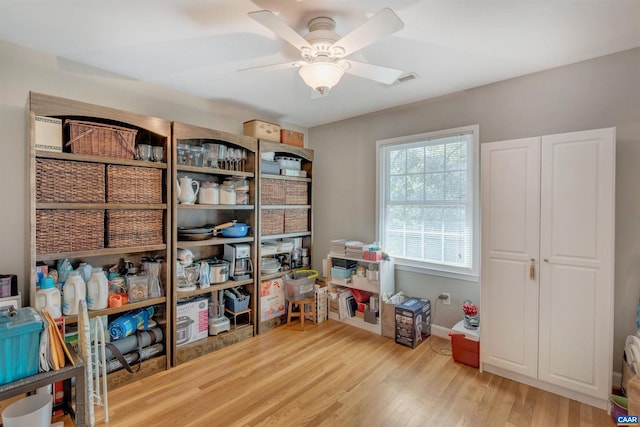 2421 Barracks Pl Unit 4, Charlottesville, VA 22901 - storage area featuring a ceiling fan