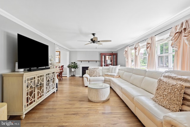 566 S Old Middletown Rd, Media, PA 19063 - living room with light wood-type flooring, crown molding, ceiling fan, and a fireplace