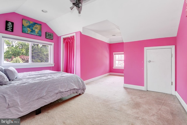 415 Grape St, Hammonton, NJ 08037 - carpeted bedroom featuring vaulted ceiling and baseboards