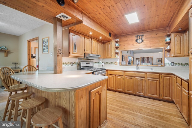 199 Cox Ave, West Creek, NJ 08092 - kitchen with stainless steel gas range oven, open shelves, under cabinet range hood, a peninsula, and light countertops