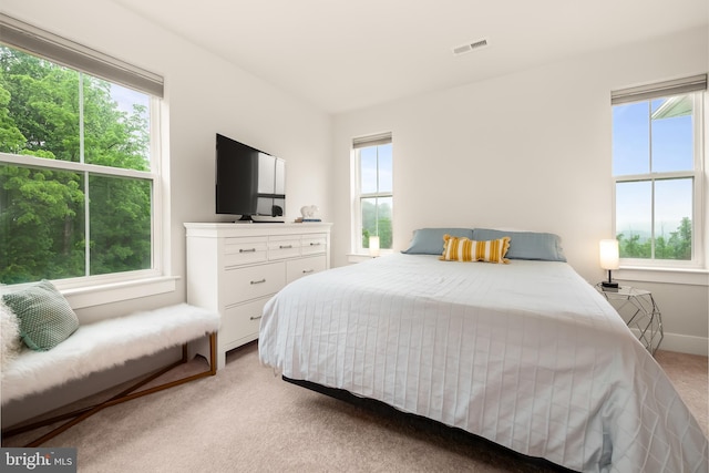 5635 Saucon Ridge Rd, Coopersburg, PA 18036 - bedroom with light colored carpet and baseboards