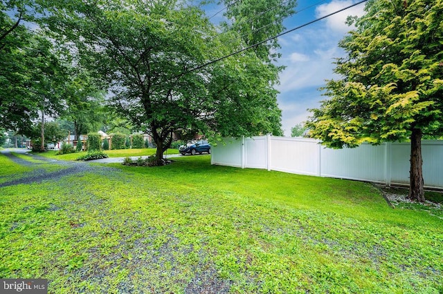 2170 Reading Blvd, Reading, PA 19609 - view of yard