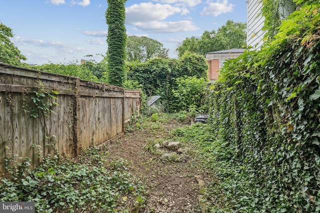111/2 College Ave, Annapolis, MD 21401 - view of yard