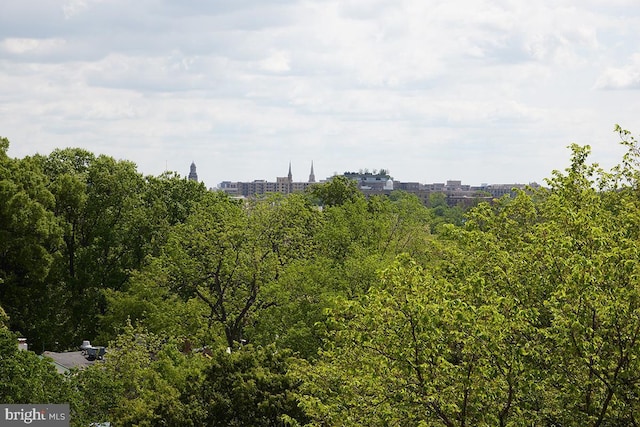 2801 Connecticut Ave NW Unit 32, Washington, DC 20008 - view of undeveloped land