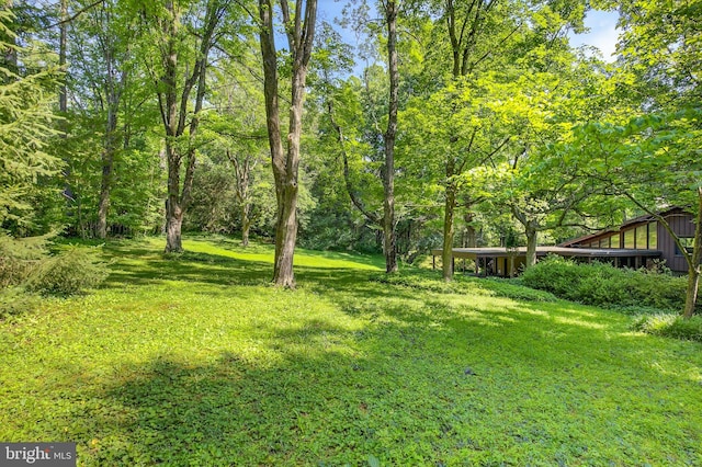 20 Birch Ct, Lancaster, PA 17603 - view of grassy yard