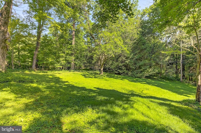 20 Birch Ct, Lancaster, PA 17603 - view of grassy yard