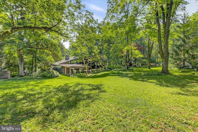 20 Birch Ct, Lancaster, PA 17603 - view of green lawn