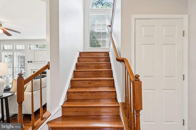 5570 La Vista Dr, Alexandria, VA 22310 - stairs featuring a ceiling fan and healthy amount of natural light