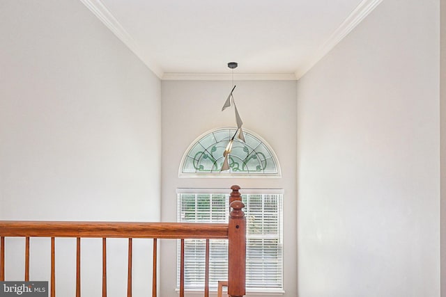 5570 La Vista Dr, Alexandria, VA 22310 - detailed view of crown molding