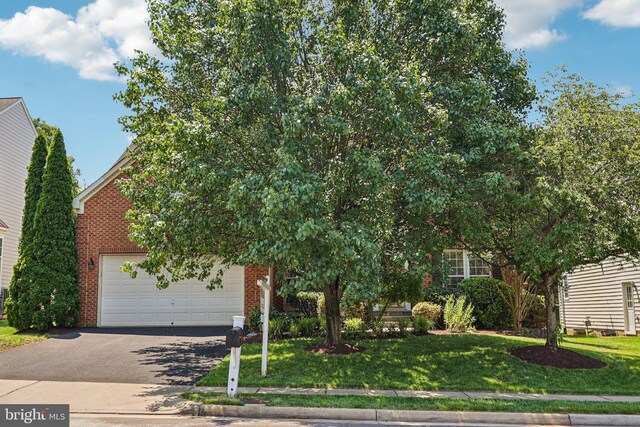 5570 La Vista Dr, Alexandria, VA 22310 - view of property hidden behind natural elements with brick siding, driveway, a front yard, and a garage