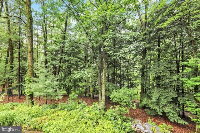 154 Deer Hill Rd, Reading, PA 19607 - view of tree filled area