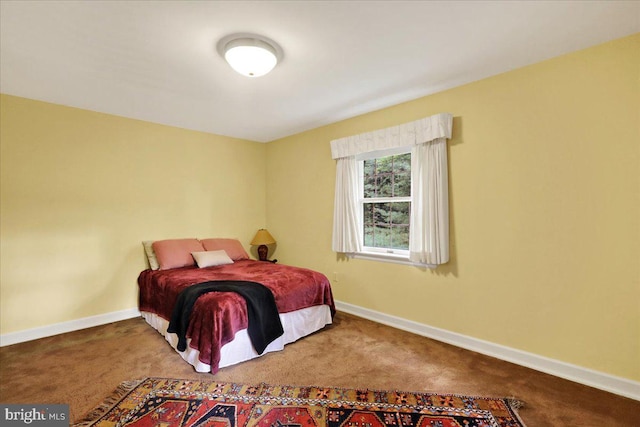 154 Deer Hill Rd, Reading, PA 19607 - bedroom featuring carpet floors