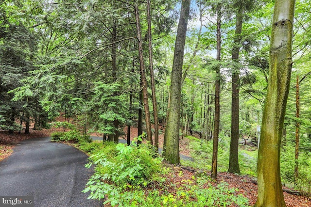 154 Deer Hill Rd, Reading, PA 19607 - view of woods