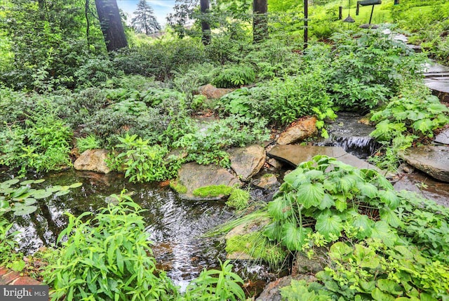 154 Deer Hill Rd, Reading, PA 19607 - view of undeveloped land with a garden pond